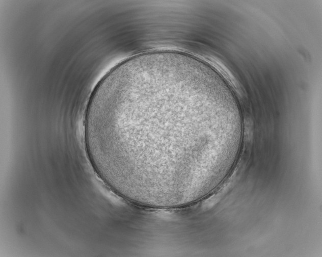 X0000112180814200908281400