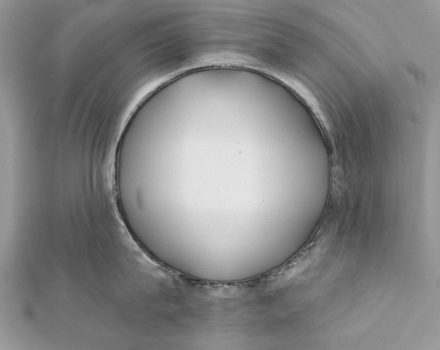 X0000112180815200908281400