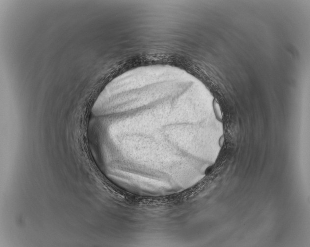 X0000112180817200908281359