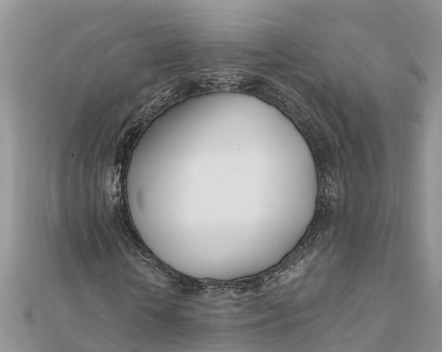 X0000112180818200908281359