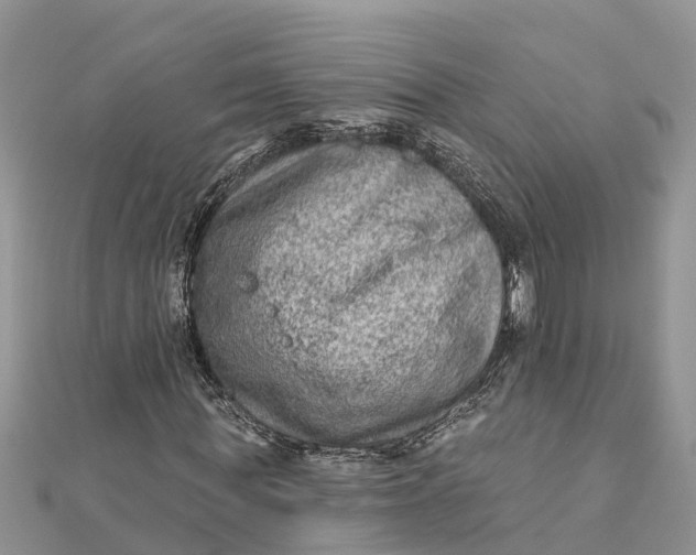 X0000112180819200908281359