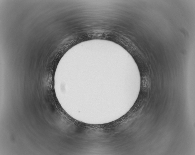 X0000112180820200908281359