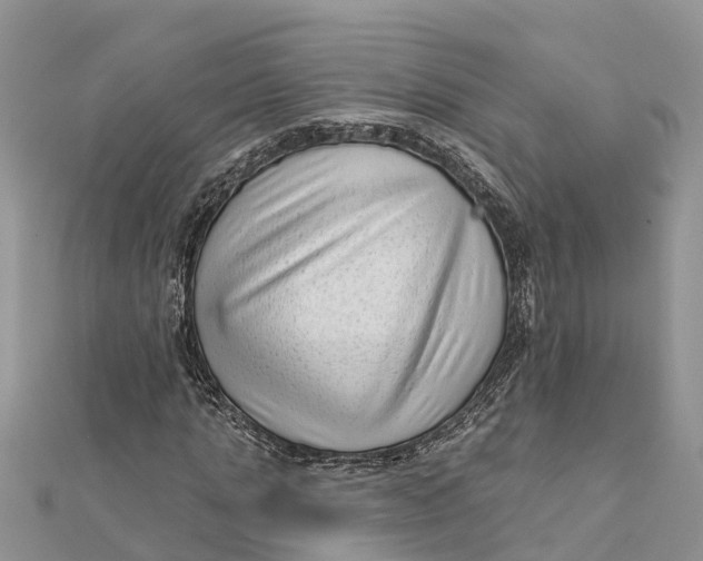 X0000112180821200908281359