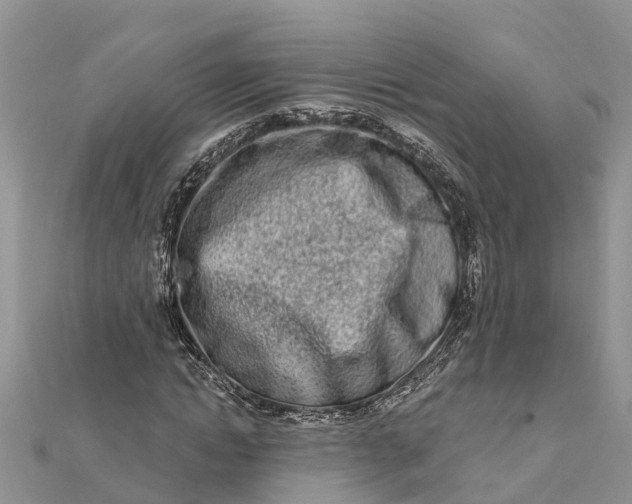 X0000112180822200908281359