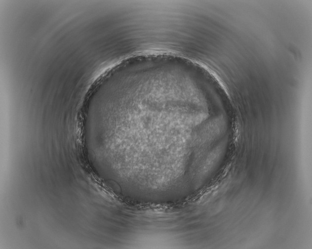 X0000112180823200908281359