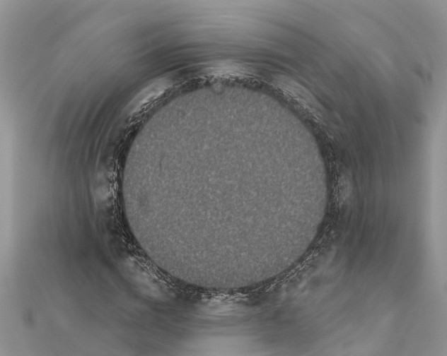 X0000112180824200908281359