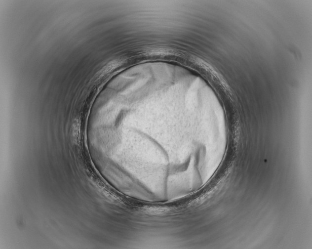 X0000112180825200908281359