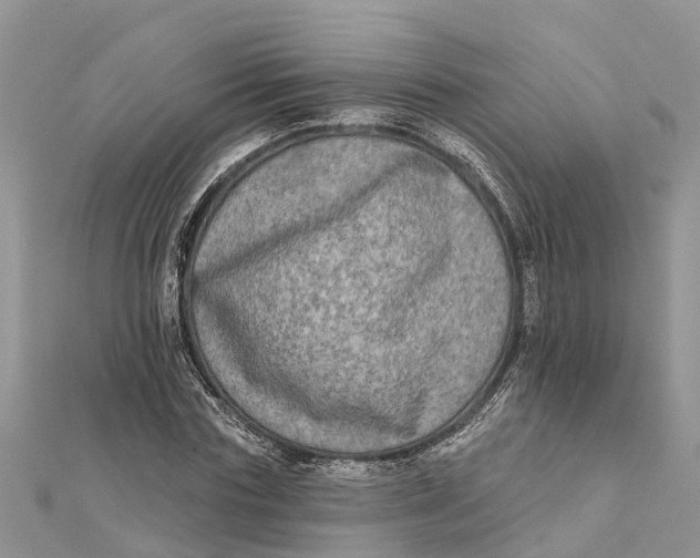 X0000112180827200908281400