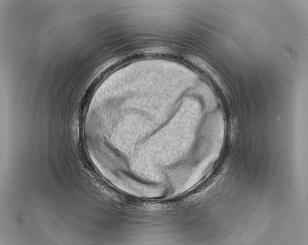 X0000112180829200908281400