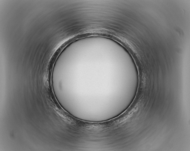 X0000112180830200908281400