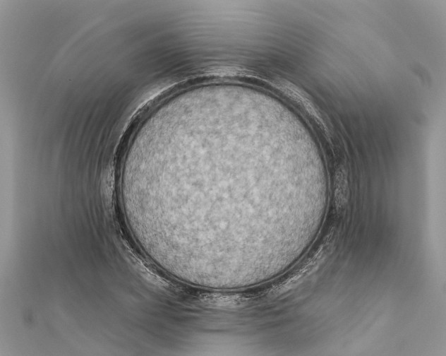 X0000112180831200908281400