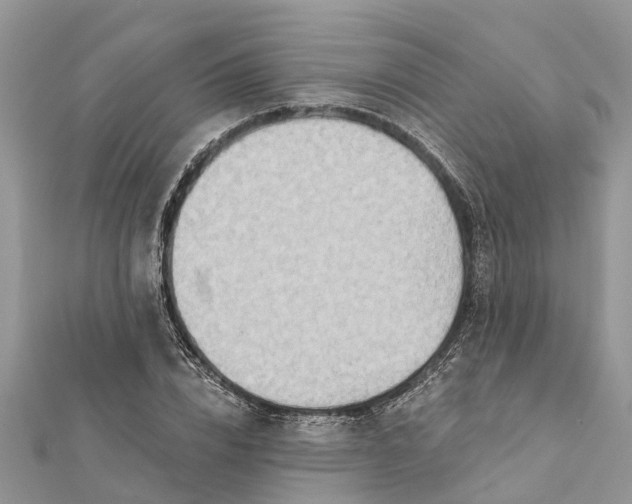 X0000112180832200908281400