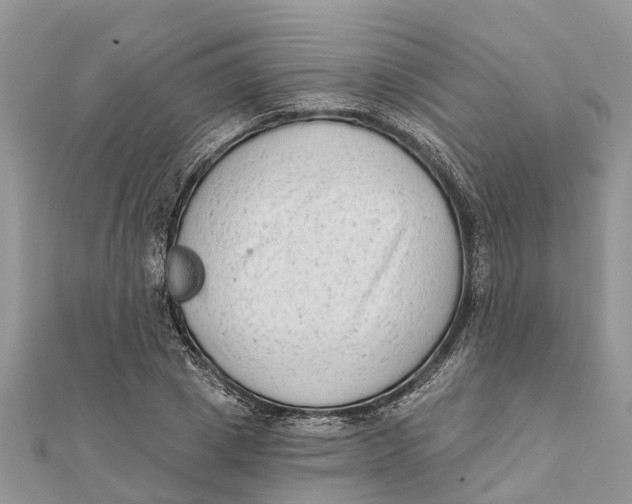 X0000112180833200908281400