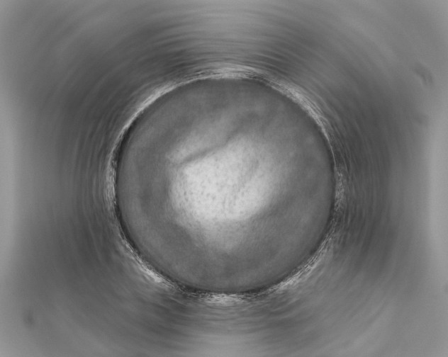 X0000112180835200908281400