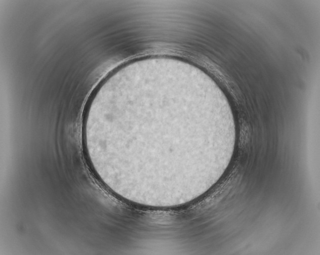 X0000112180836200908281400