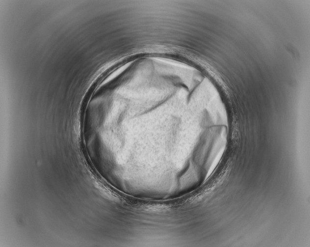 X0000112180837200908281400