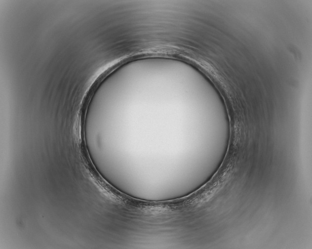 X0000112180838200908281400