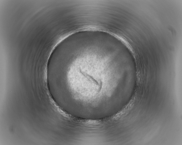 X0000112180839200908281400