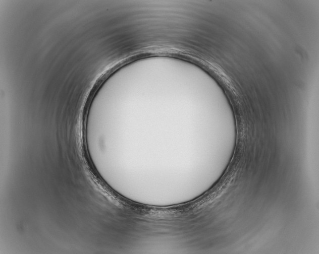 X0000112180840200908281400