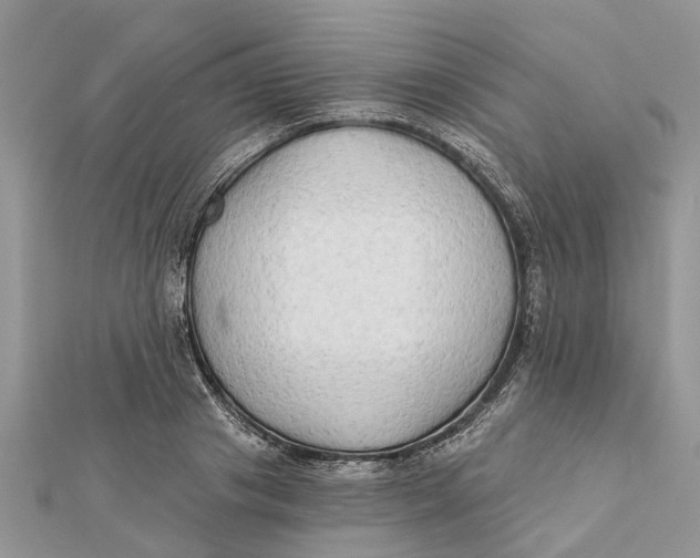 X0000112180841200908281400