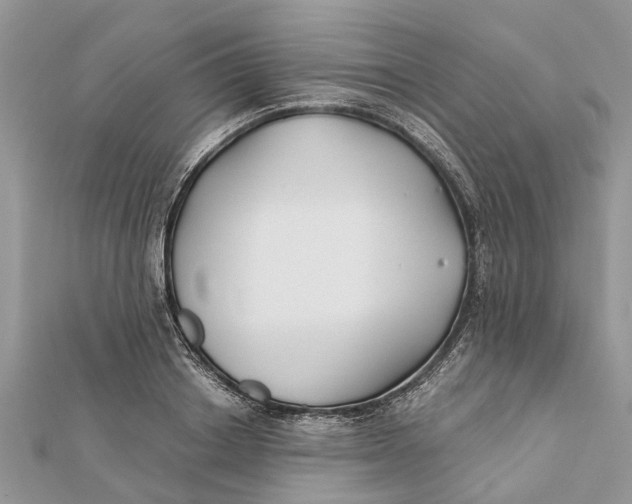 X0000112180842200908281400