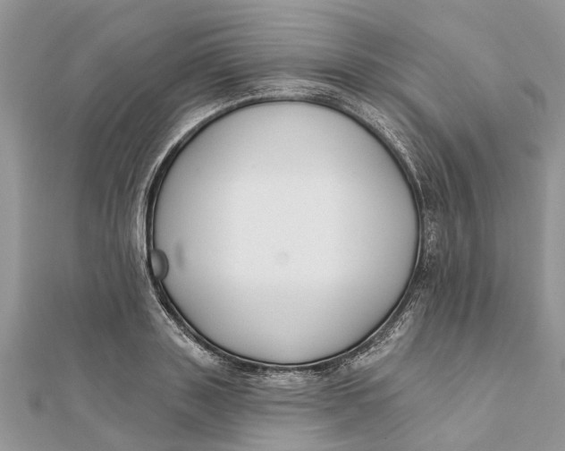 X0000112180843200908281400