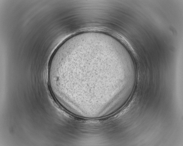 X0000112180844200908281400