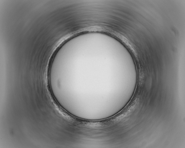 X0000112180845200908281400