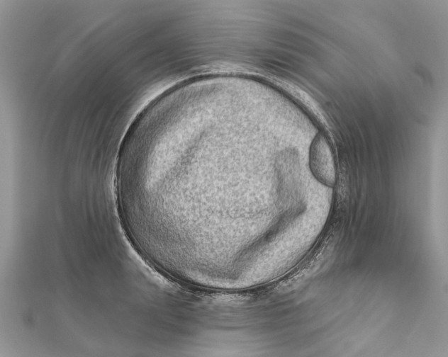 X0000112180847200908281400