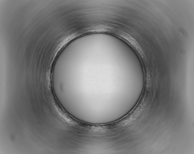 X0000112180850200908281400