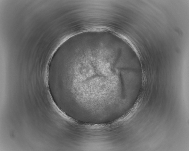 X0000112180851200908281400