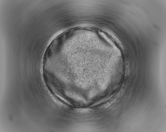 X0000112180853200908281400