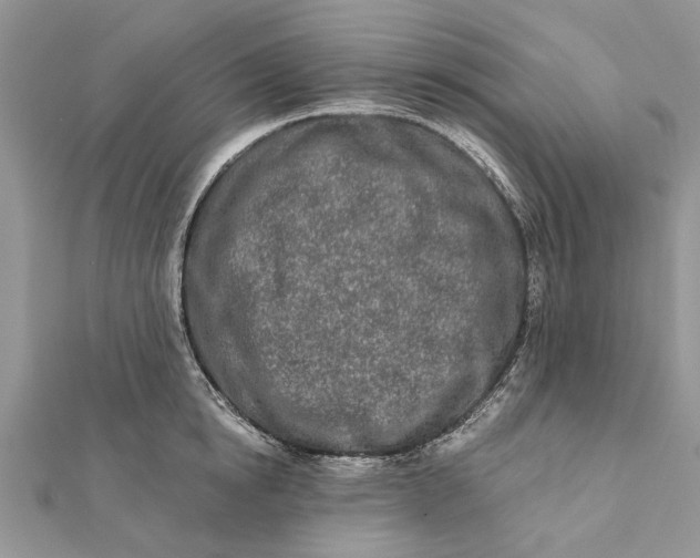 X0000112180854200908281400