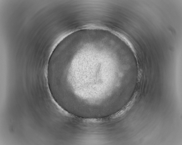 X0000112180855200908281400