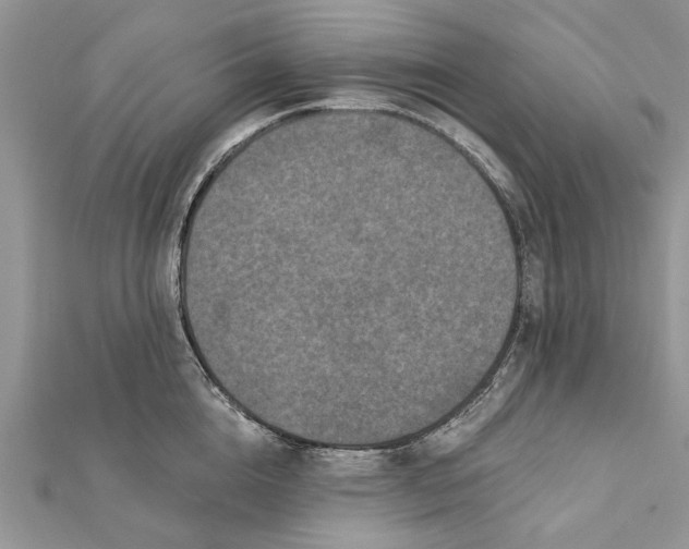 X0000112180856200908281400