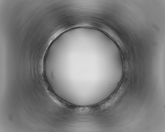 X0000112180858200908281400