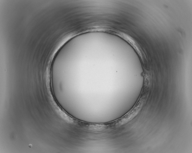 X0000112180859200908281400