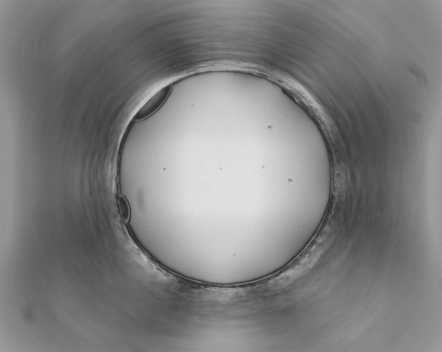 X0000112180860200908281400