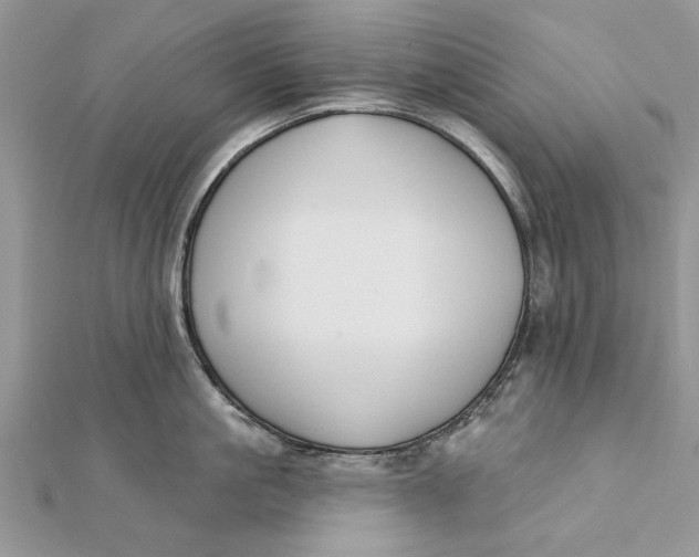 X0000112180861200908281400