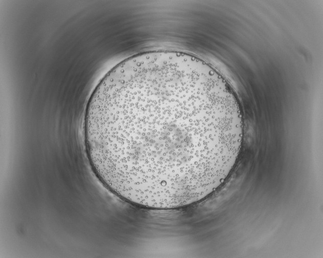 X0000112180863200908281400