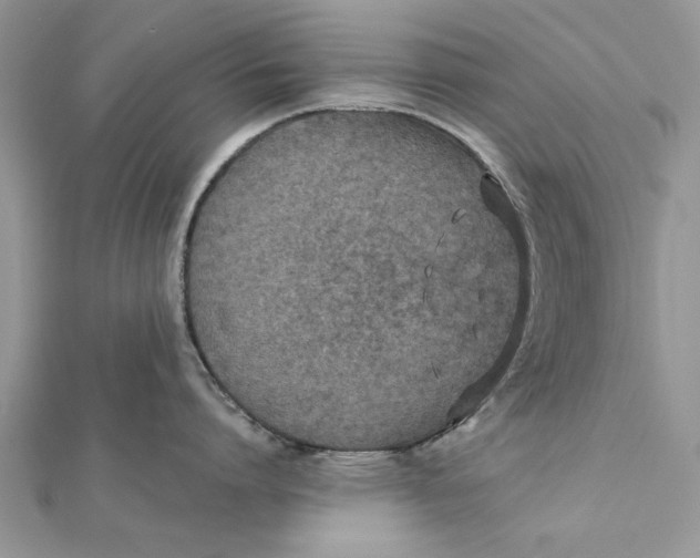 X0000112180864200908281400