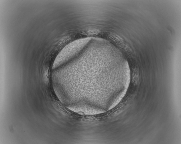 X0000112180866200908281359