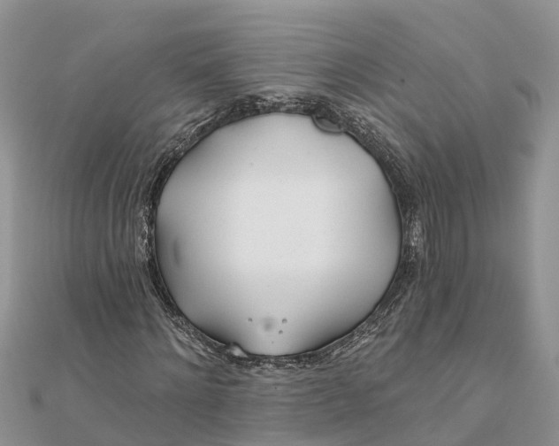 X0000112180868200908281359