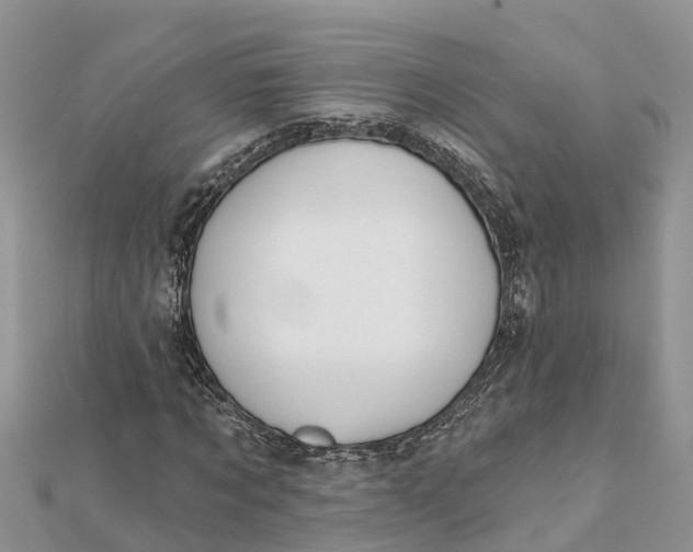 X0000112180869200908281359