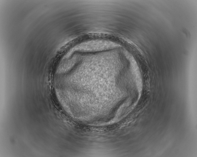 X0000112180870200908281359