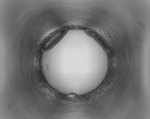 X0000112180872200908281359