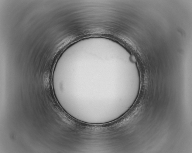 X0000112180873200908281359