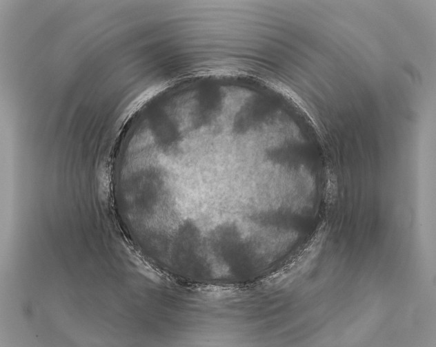 X0000112180874200908281359