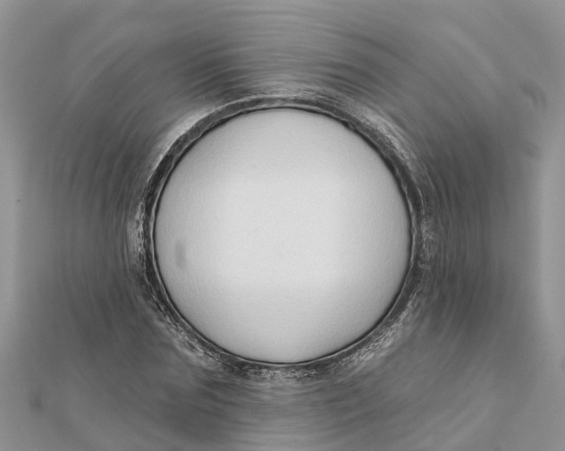 X0000112180875200908281359