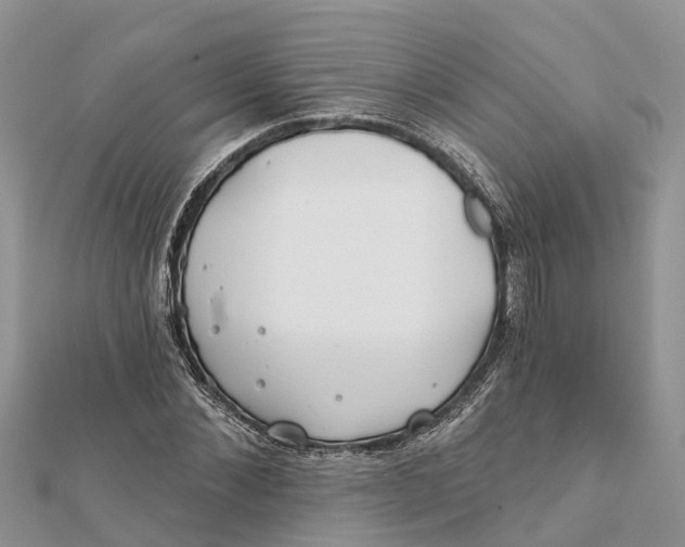 X0000112180876200908281359